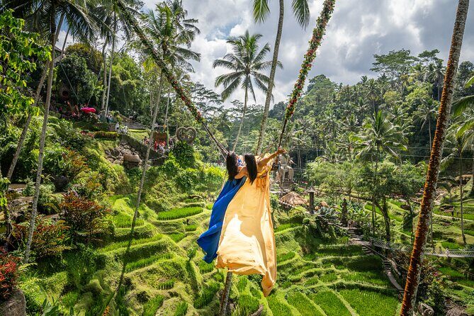Bali: Swing Heaven, Monkey Forest and Waterfall Guided Tour - Authentic Experiences Backed by Reviews