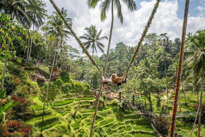 Bali: Swing Heaven, Monkey Forest and Waterfall Guided Tour - Who Should Consider This Tour?