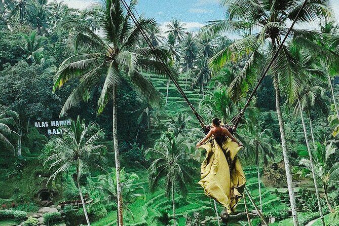 Bali Swing, Monkey Forest and Waterfall - Private Tour - What to Expect from the Tour