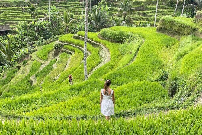 Bali Swing, Monkey Forest and Waterfalls Tour - The Itinerary in Detail