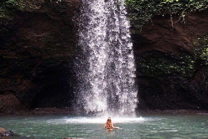 Bali Swing, Monkey Forest & Ubud Waterfalls Tour - Final Thoughts