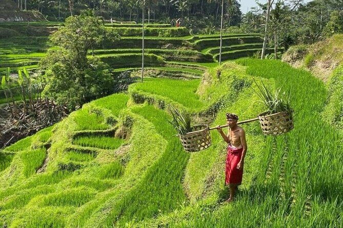 Bali Swing, Monkey Forest & Ubud Waterfalls Tour - Final Thoughts