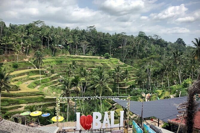 Bali Swing Packages and Kintamani Mt Batur Volcano View - Stop 1: Bali Swing at Real Bali Swing