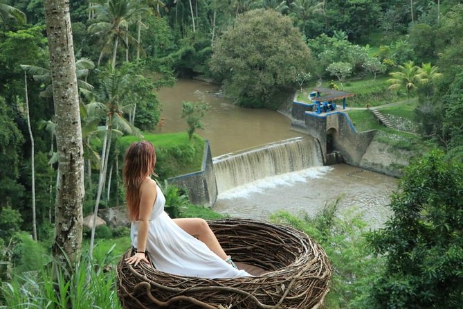 Bali Swing Pioneer in Ubud , Exhilarating Instagrammable Swings in Bali. - Frequently Asked Questions