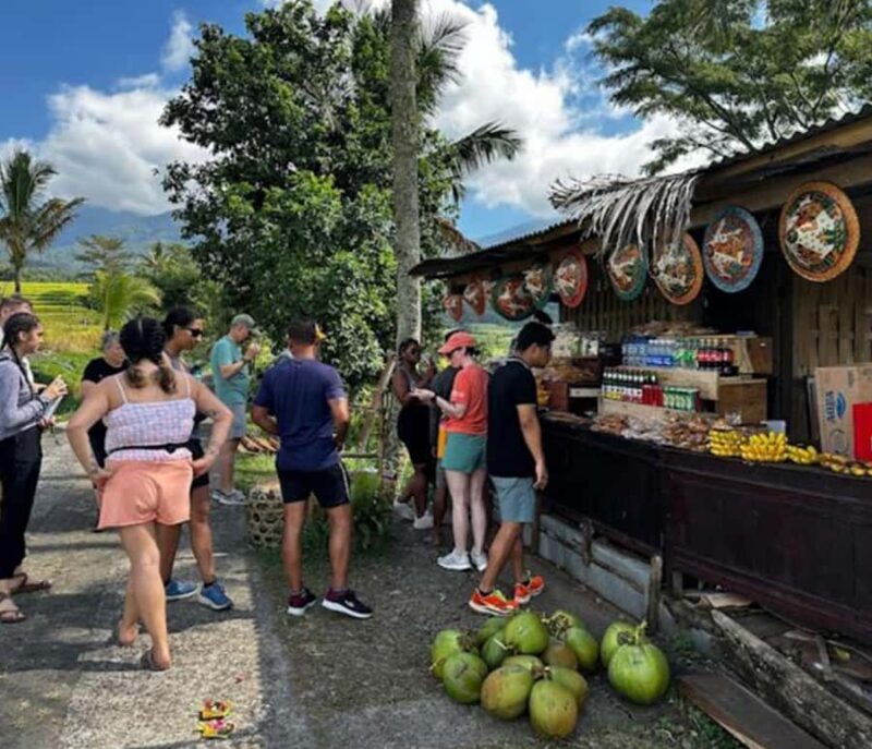 Bali: Tabanan Rice Terraces E-Bike Tour with Breakfast - FAQ