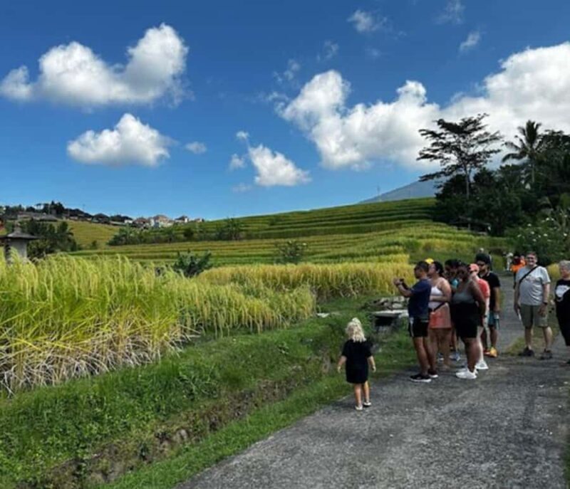 Bali: Tabanan Rice Terraces E-Bike Tour with Breakfast - FAQs