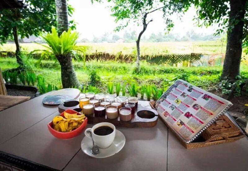 Bali: Taman Ayun, Jatiluwih, Ulun Danu, and Monkey Forest - Good To Know