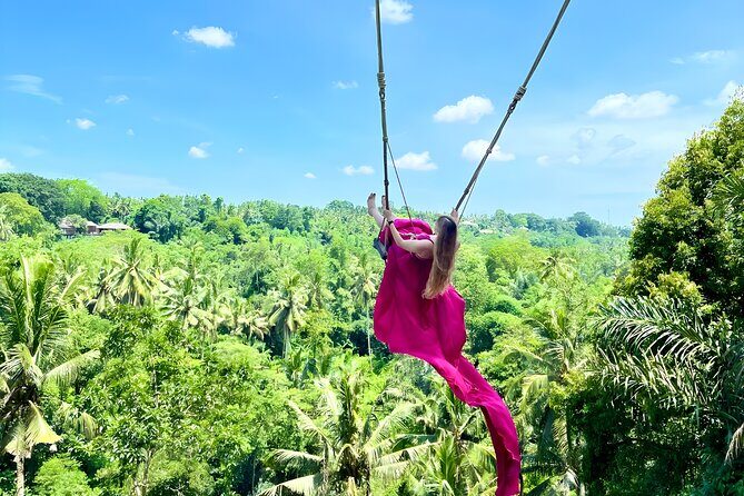 Bali Taman Grya Beji Waterfall and Jungle Swing Private Tour - Pickup & Transportation