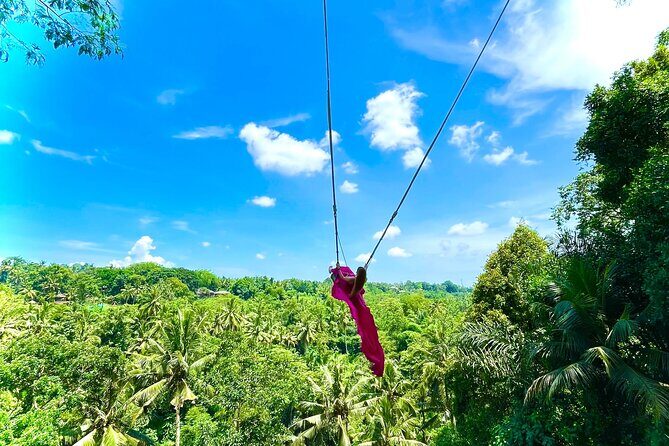 Bali Taman Grya Beji Waterfall and Jungle Swing Private Tour - Frequently Asked Questions