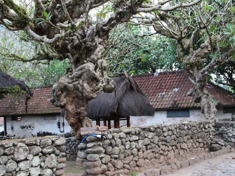 Bali: Taman Ujung Culture Tour with Tirta Gangga & Tenganan - The Sum Up: Who Should Consider This Tour?