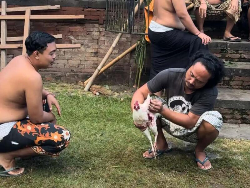 Bali: Taman Ujung Culture Tour with Tirta Gangga & Tenganan - FAQ