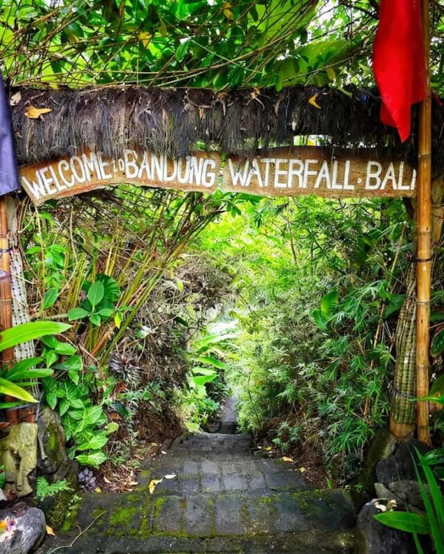 Bali: Tampaksiring, Pura Penataran Sasih & Waterfall Tour - Practical Insights and Tour Details