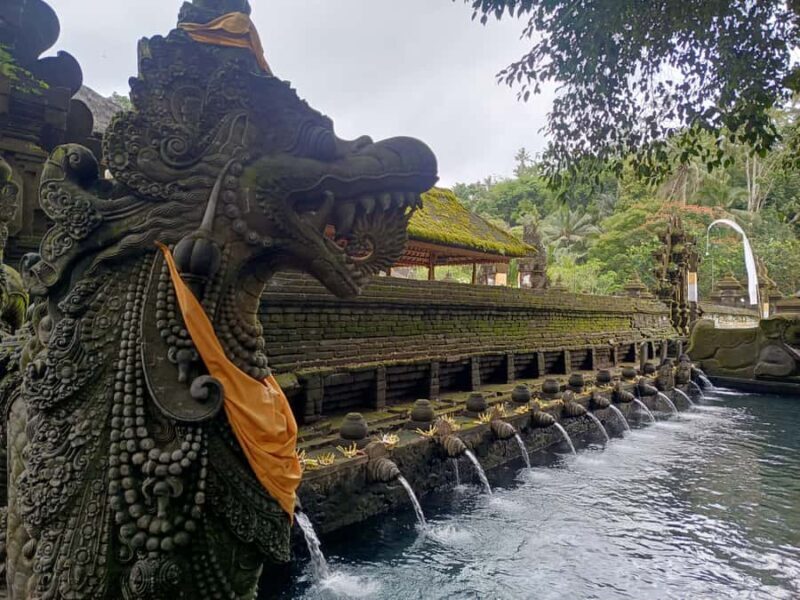 Bali: Tampaksiring Temples and Coffee Plantation Tour - Exploring the Sacred Tampaksiring Area