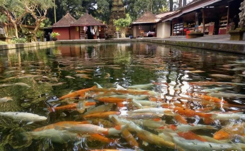 Bali: Tampaksiring Temples and Coffee Plantation Tour - The Sum Up