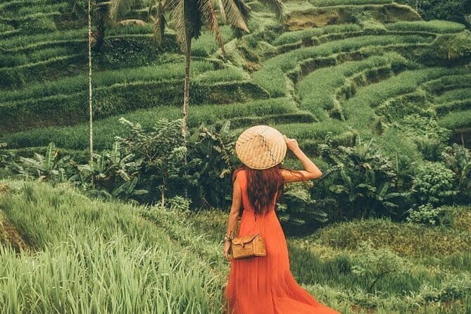 Bali Tanah Lot, Jatiluwih Rice Terraces, and Ulun Danu Beratan - Who Will Benefit Most?