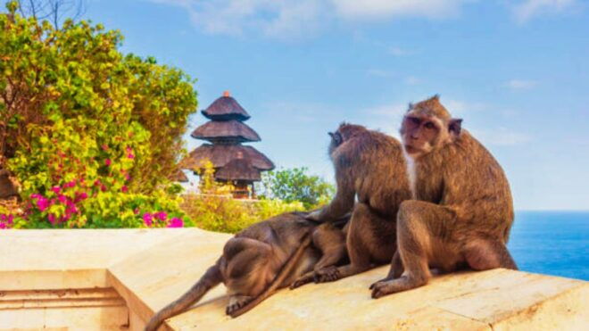 Bali: Tanah Lot, Padang-Padang Beach and Uluwatu Sunset - Unwinding at the Hidden Gem: Padang-Padang Beach