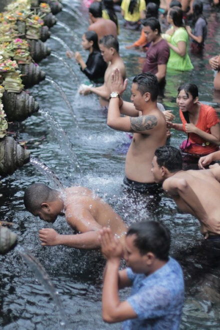 Bali: Tanah Lot, Ubud, and Waterfall Private Day Tour - Inclusions and Exclusions