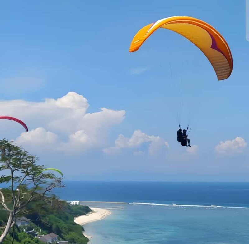 Bali Tandem Paragliding with Hotel Pickup and Drop-off - Good To Know  