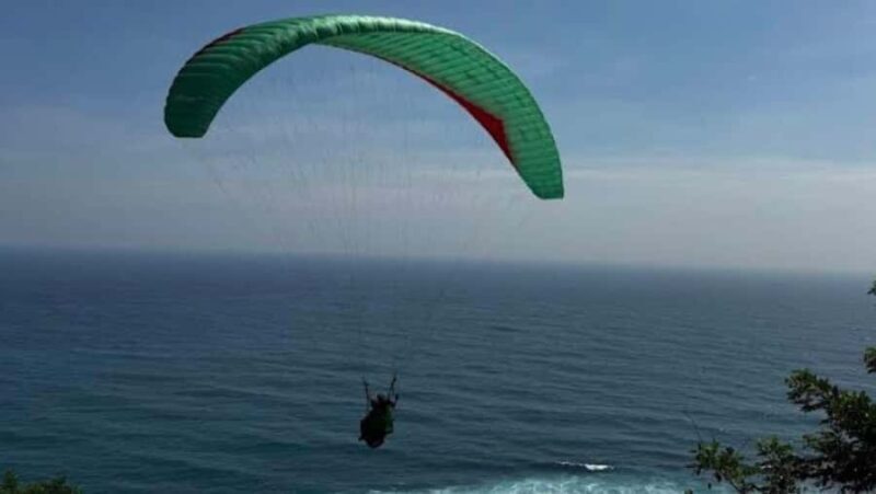 Bali: Tandem Paragliding with Professional Instructor - The Sum Up