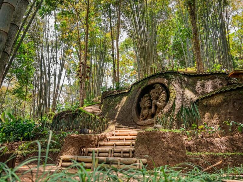 Bali: Taro Village and Holy Spring Water Temple Tour - FAQ