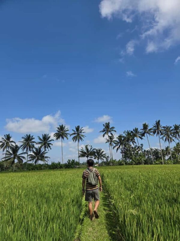 Bali: Taro Village Trek with Rice Terraces and Vegan Feast - The Authentic Charm of Taro Village