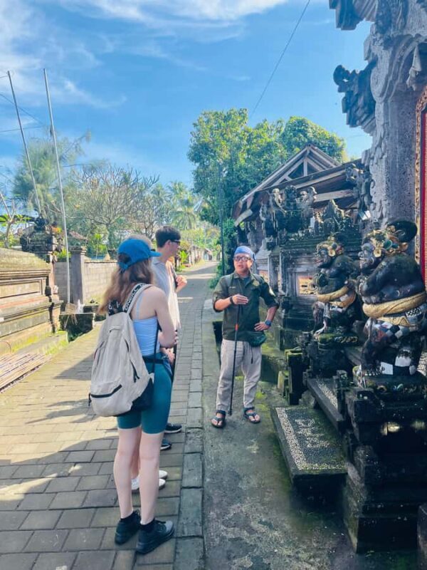 Bali: Taro Village Trek with Rice Terraces and Vegan Feast - Final Thoughts: Who Will Love This Tour?