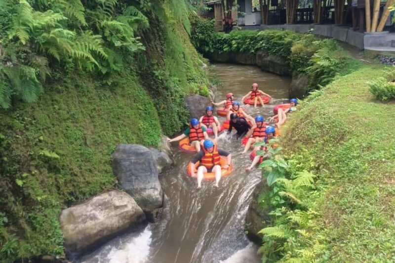 Bali: Tegallalang Cave Tubing Adventure with Lunch - The Experience Provider and Group Dynamics