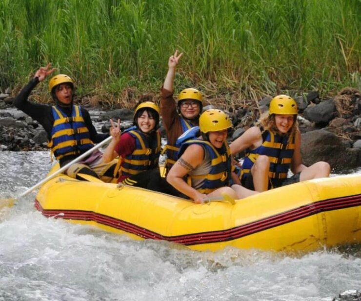 Bali: Telaga Waja River Rafting Small-Group Tour With Lunch - Tour Overview