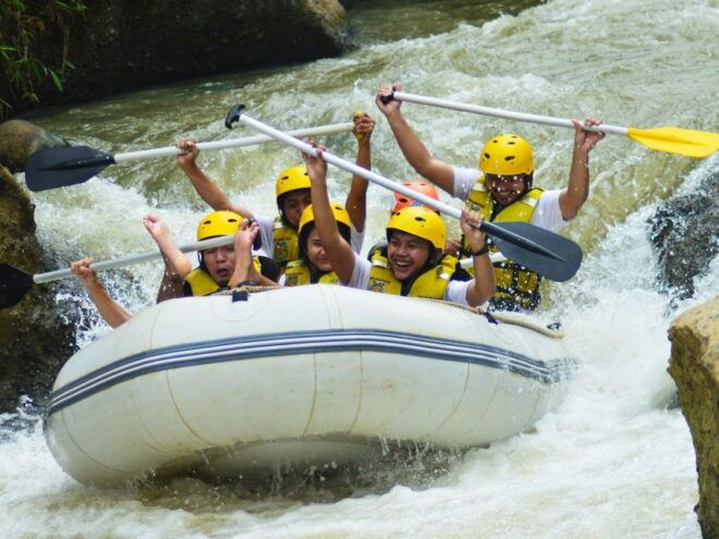Bali: Telaga Waja River Rafting Small-Group Tour With Lunch - Experience Description