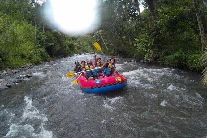 Bali Telaga Waja White Water Rafting Adventure - Who Should Consider This Tour?