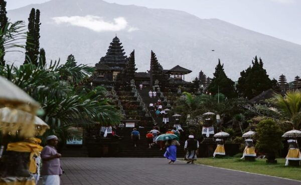 Bali : Telaga Waja White Water Rafting and Besakih Temple - Whats Included in the Tour