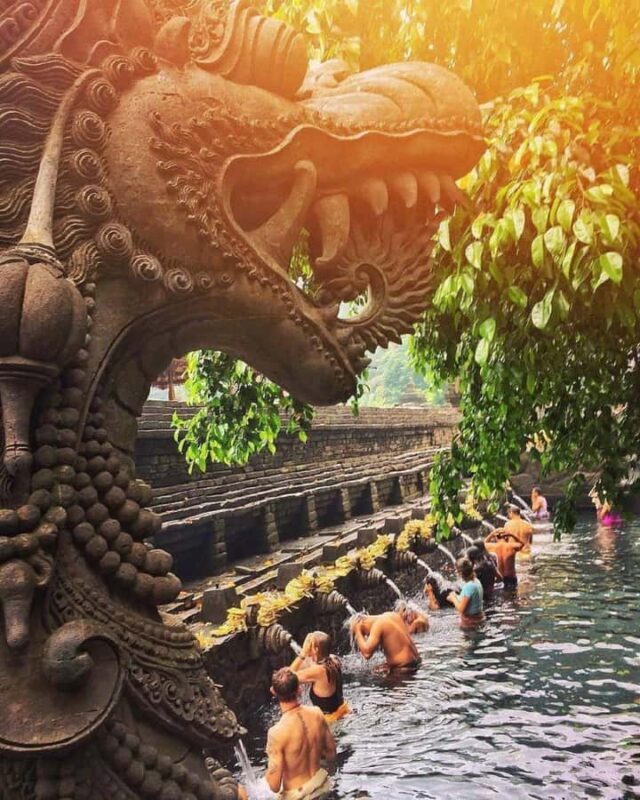 Bali: Temple, Waterfall, and Rice Terrace Private Tour - Who Should Consider This Tour?