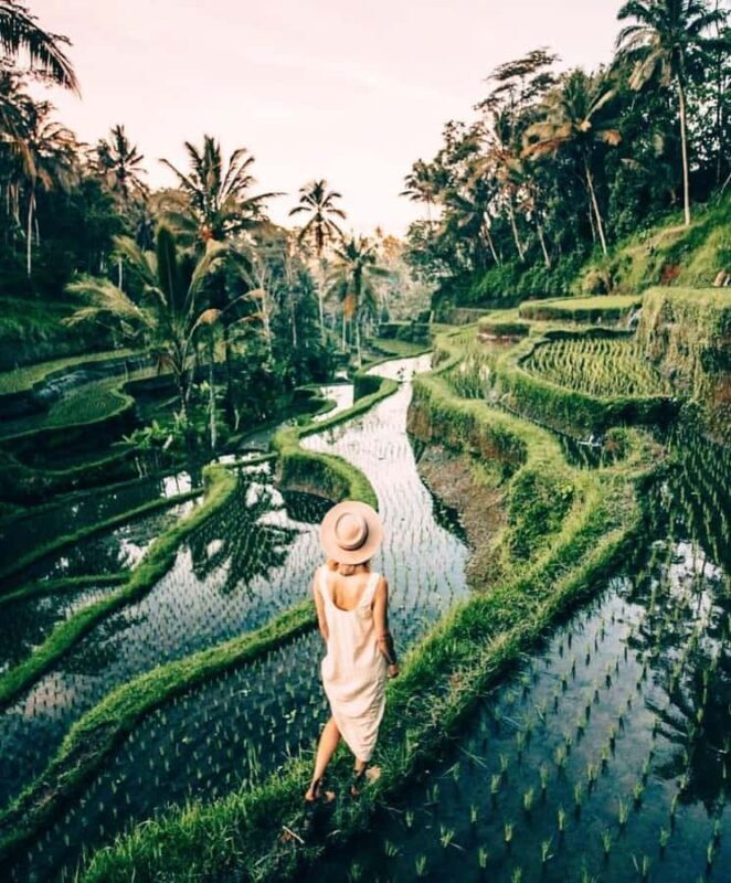 Bali: Temple, Waterfall, and Rice Terrace Private Tour - Good To Know  