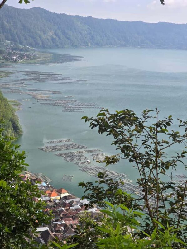 Bali: Terunyan Sunrise Trekking and Cemetery Tour - Final Thoughts