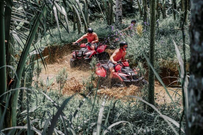 Bali : the best ATV quad bike jungle track and Mudy track - Who Should Consider This Tour?