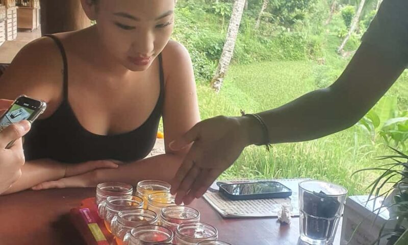 Bali: The Icons Highlands, Heritage & Horizons - Who Will Love This Tour?