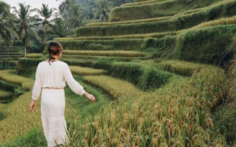Bali: The Icons Highlands, Heritage & Horizons - FAQs