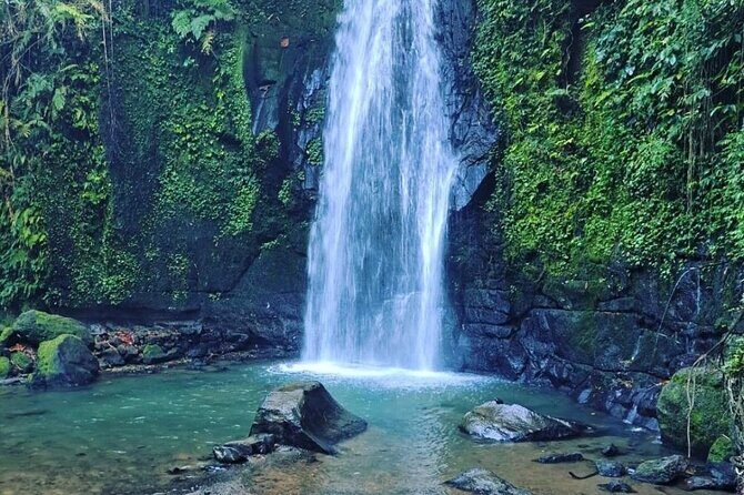 Bali Tirta Empul Tours Experience with Spiritual Cleansing - Practical Details That Make a Difference