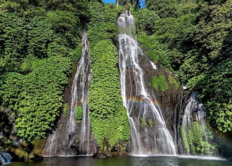 Bali: Top Highlights Private Full-Day Tour from Hotel - Exploring Bali’s Best: A Full-Day Private Tour of Ubud’s Highlights