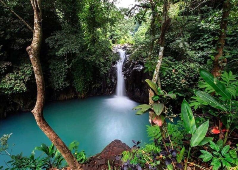 Bali: Top Highlights Private Full-Day Tour from Hotel - Good To Know