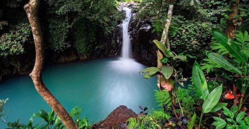 Bali: Top Highlights Private Full-Day Tour from Hotel - Who This Tour Is Best For