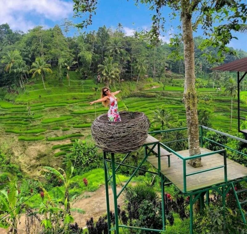 Bali: Top Highlights Private Full-Day Tour from Hotel - Good To Know