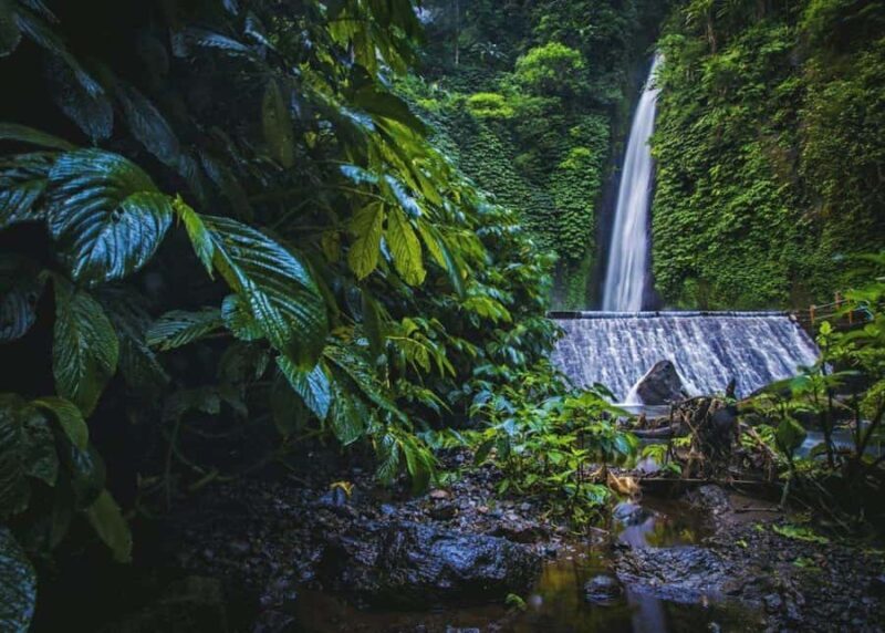 Bali: Top Highlights Private Full-Day Tour from Hotel - The Sum Up