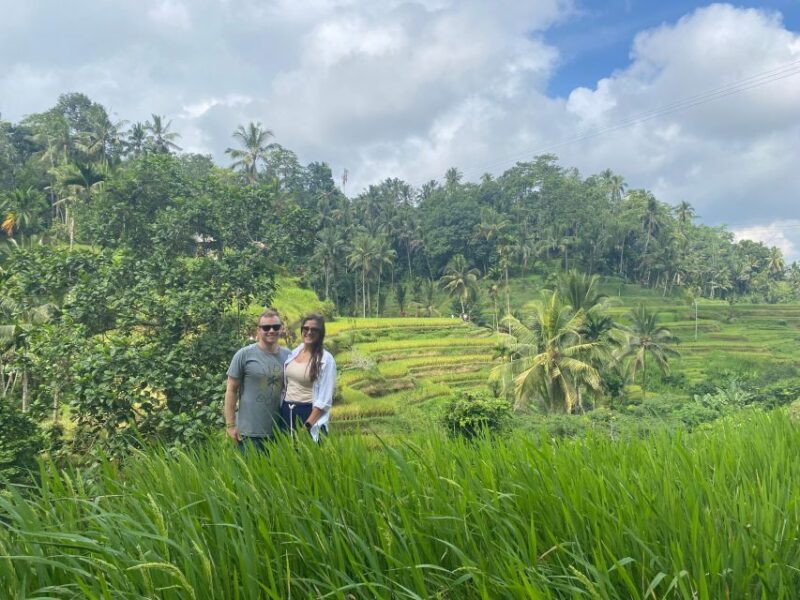 Bali : Top's 3 Waterfalls . Temple And Rice Terrace - FAQ