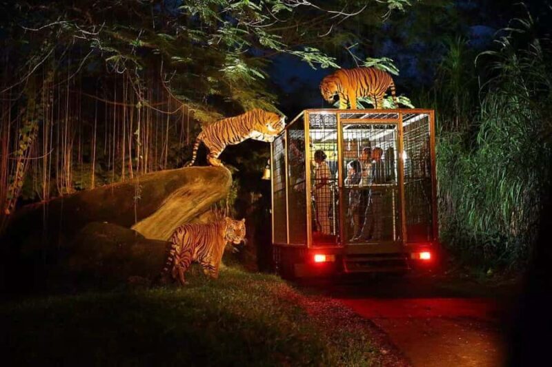Bali Tour: Dinner with the Wildlife in the Zoo - FAQs