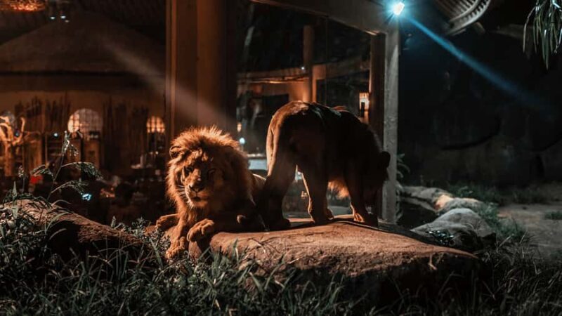 Bali Tour: Dinner with the Wildlife in the Zoo - Good To Know