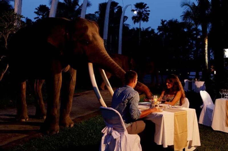 Bali Tour: Dinner with the Wildlife in the Zoo - Practical Details for Travelers