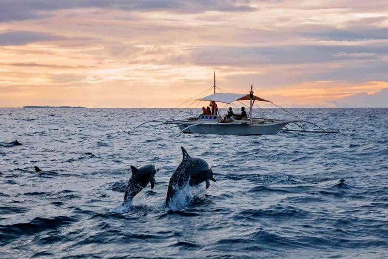 Bali Tour: Ethical Dolphin Swim Experience in Lovina - Introduction to the Lovina Dolphin Experience