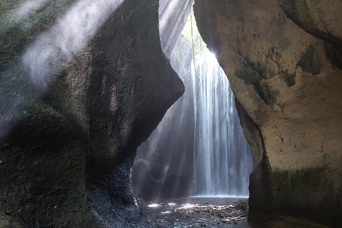 Bali Tour - Sightseeing Tour and Traditional Village - Tour Overview