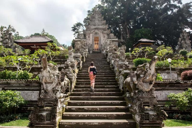 Bali: Tradisional Village, Bamboo Forest & Temple Tour - Who Will Love This Tour?